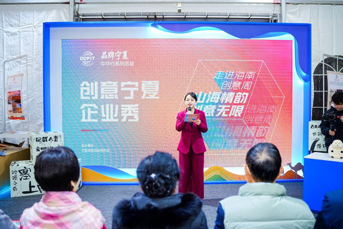 寧夏創意企業閃亮海南 創意周