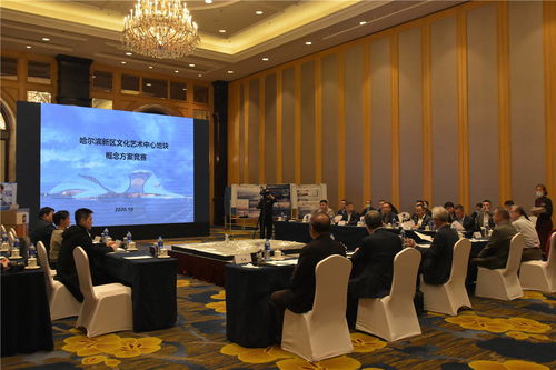 哈爾濱新區(qū)文化藝術(shù)中心項(xiàng)目建設(shè)邁出重要步伐 規(guī)劃設(shè)計(jì)招標(biāo)圓滿完成，文化藝術(shù)交流活動(dòng)蓄勢待發(fā)